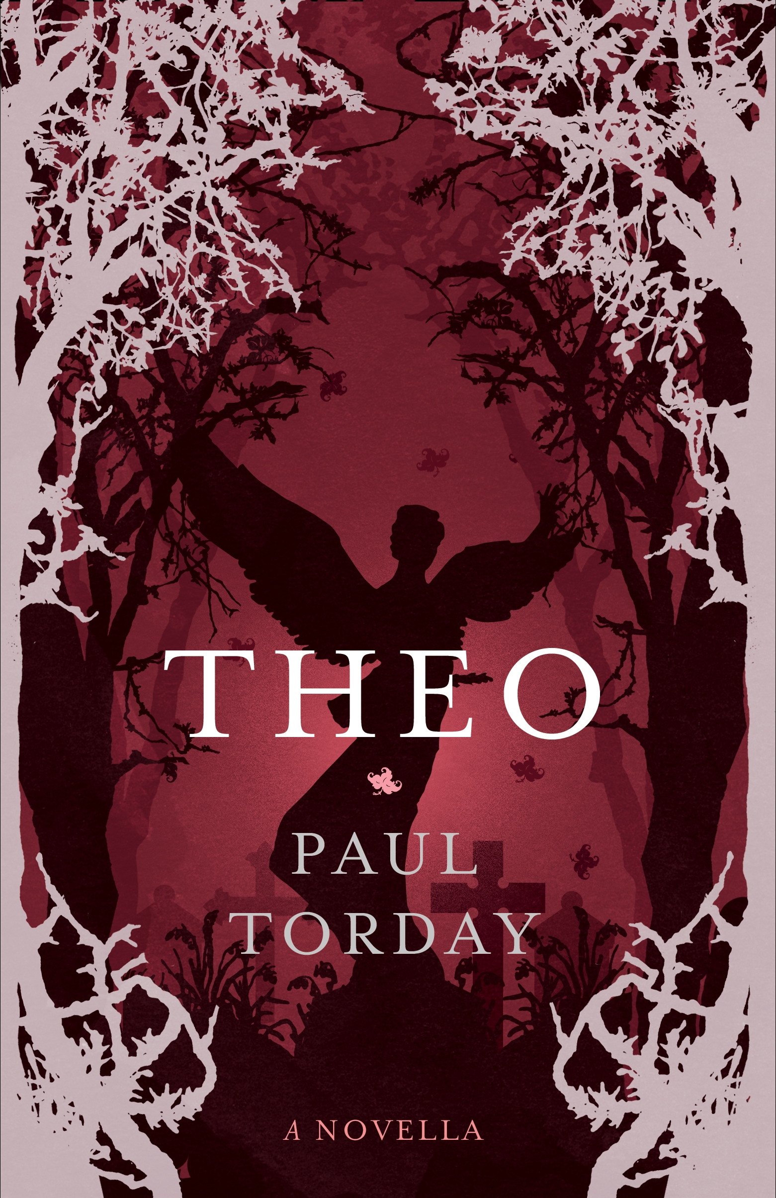 9780297869481 Theo: a novella by Paul Torday cover