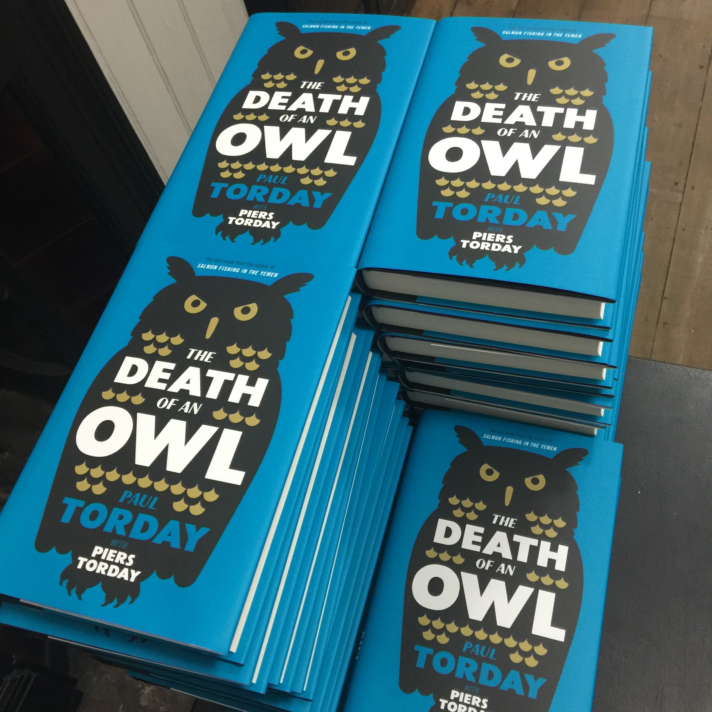 The Death of an Owl by Paul and Piers Torday hardback